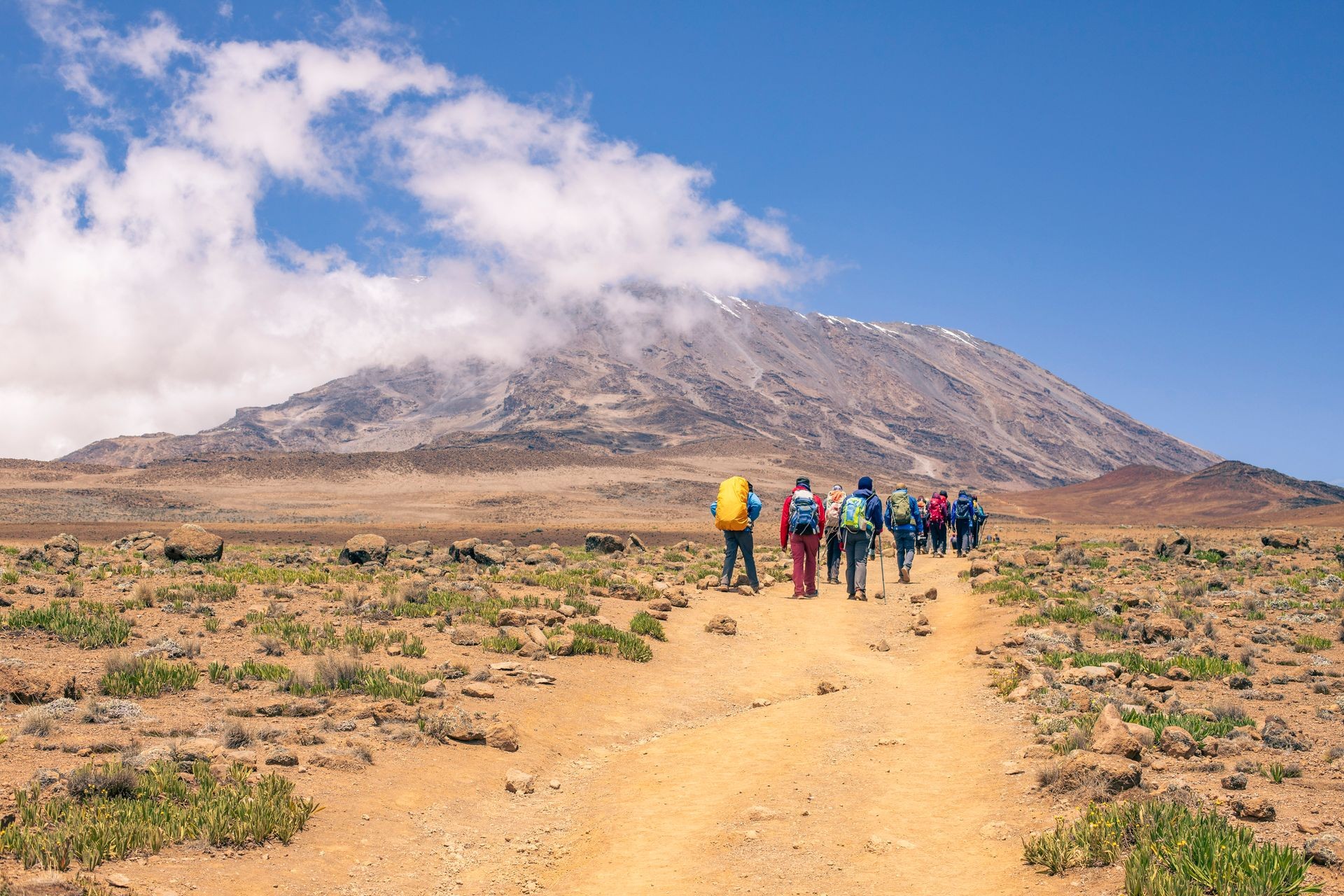 Kilimanjaro Kibo peak