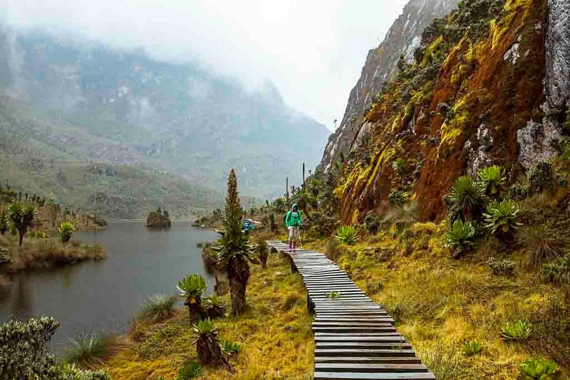 Mt Rwenzori